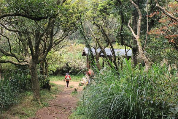 大屯山主、南、西峰O型322218