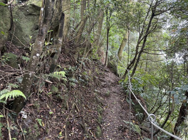 [微笑山線_第四段] 2026_0321 天上山系_石門內尖山3022047