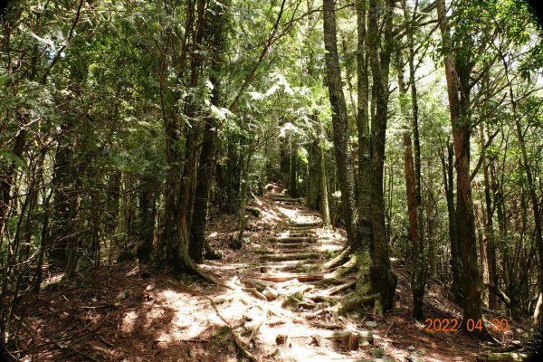 臺中 和平 鞍馬山1697276