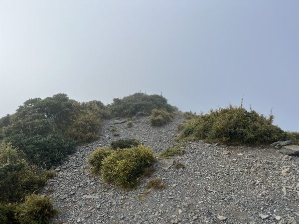 雪山西稜 2023_1106(D5B) 大雪山2342036