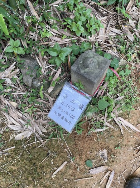 2026台北大縱走3013909