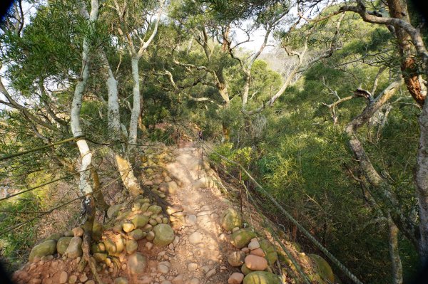 苗栗 三義 火炎山、南火炎山3020872