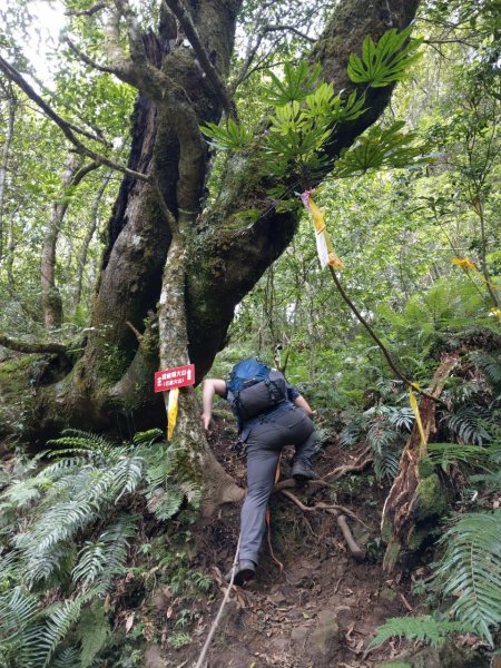 霞喀羅大山之跡600794