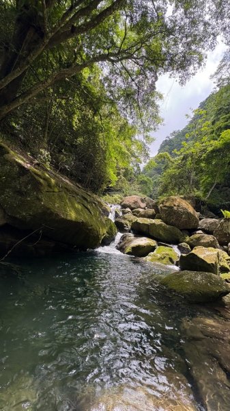 戲水（鴛鴦2786684