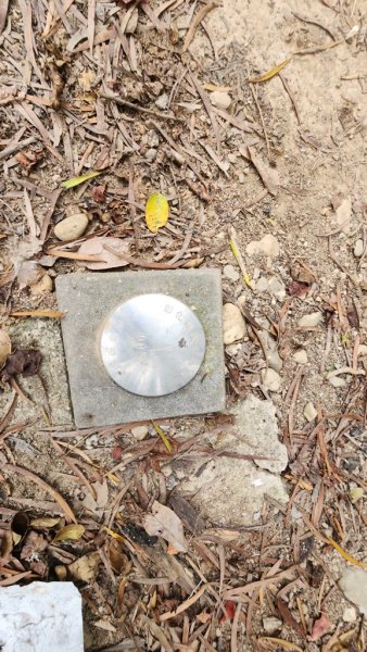 田中麒麟山連走田中森林公園北天宮O繞+ 田中大小劍逆走2756722