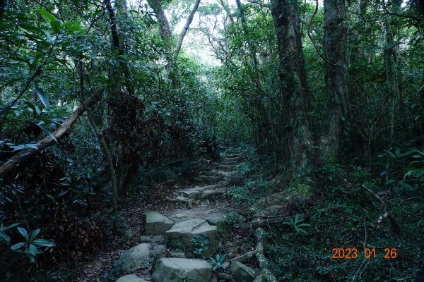 屏東 獅子鄉 里龍山(里隆山、里瀧山、鯉龍山)、下里龍山2018536