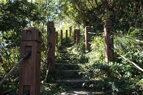 20161226新店獅子頭山登山步道90843