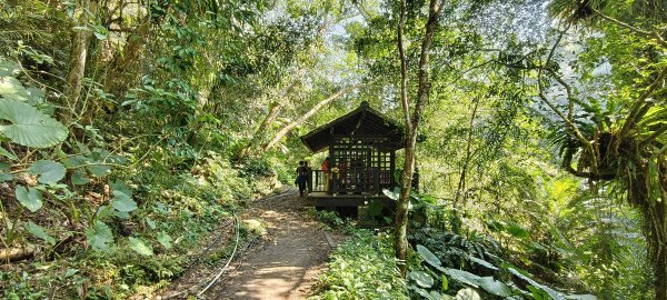 2026/02/21-馬胎古道（含二期）3005133