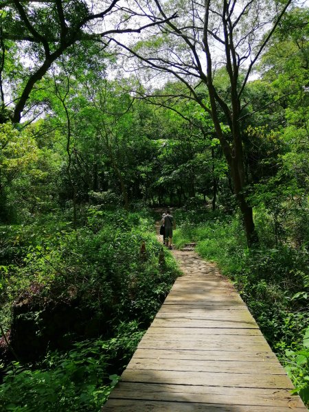 彰化社頭~清水岩步道群~18彎挑鹽古道1002546