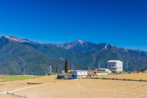 福壽山千櫻園櫻花盛開2724934