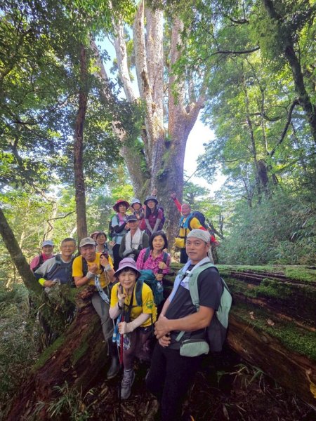 觀雪縱走~大園登山協會2828656