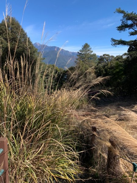 梨山賓館步道875971