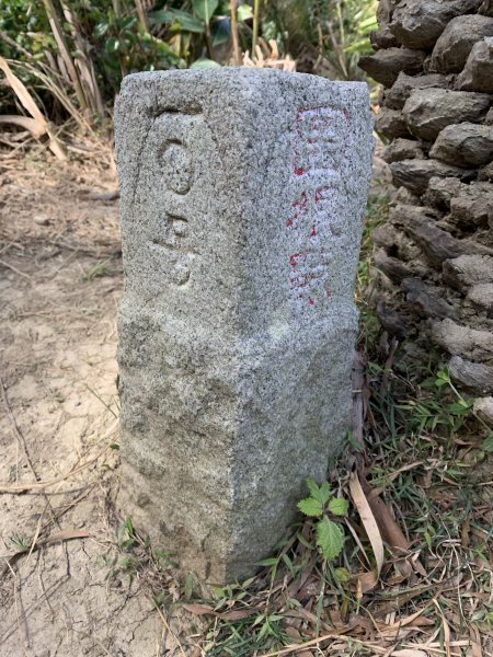 20250222屏東赤牛嶺-大山母山-小尖石山2719890