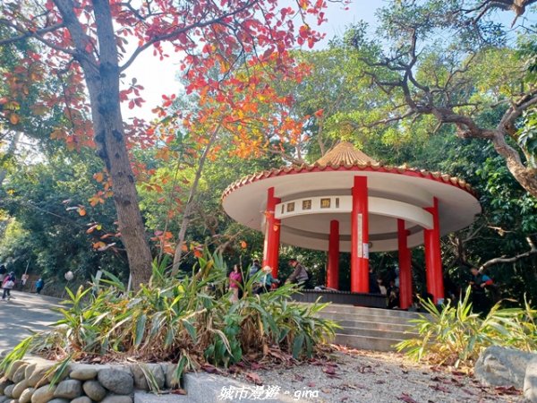 【新竹東區】十八尖山x十八尖山東峰x石家魚丸x東門倆冰糖葫蘆x城隍廟鄭家蛋糕2984189