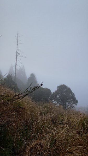 仙女散落的珍珠2723939