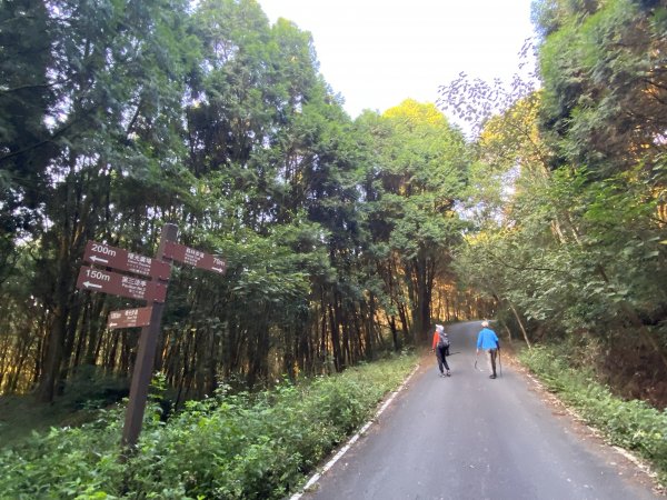 南投魚池郊山輕鬆撿-槌仔寮(西南峰).五城山.火培坑山.五城口山.草塌仔山.鹿蒿山202111171523201