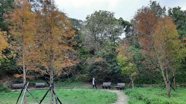 《新竹》城市微旅｜青青草原及香山濕地賞蟹步道202112121547114