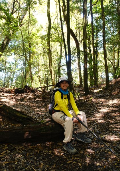 雪見大板根2924672