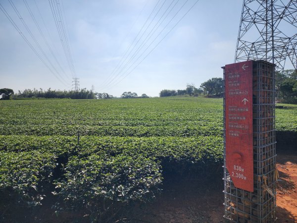 新竹湖口｜萬年道、仁和步道、金獅古道、漢卿步道2912212