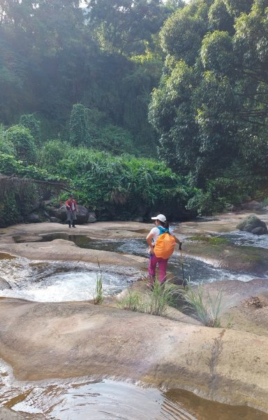 聖人瀑布➡️聖人崙➡️雙溪山+梅花五弄➡️帕米爾公園➡️聖人橋O型2797032