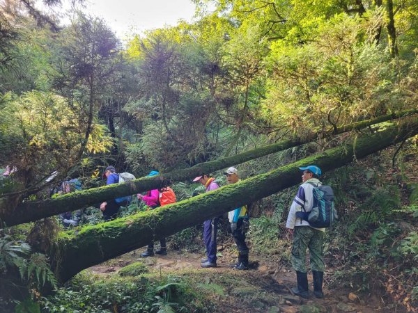 112.12.26 磺嘴山生態保護區2551578