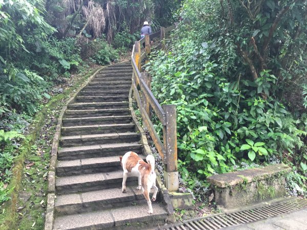 臺北步道大縱走：中華科技大學至捷運麟光站569597