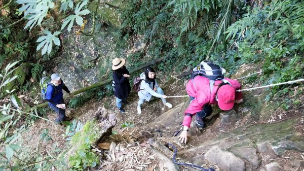 金柑樹山&忘憂森林步道20171023193329