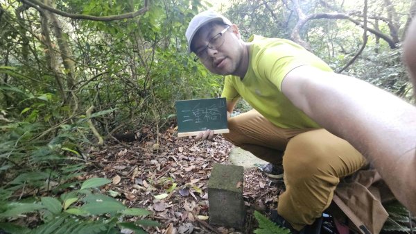 20251007冷水山西峰-三重橋山-挑硫古道-大油坑山前峰-大油坑山2907644