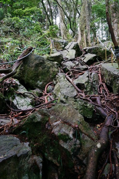 台中和平鳶嘴山600714