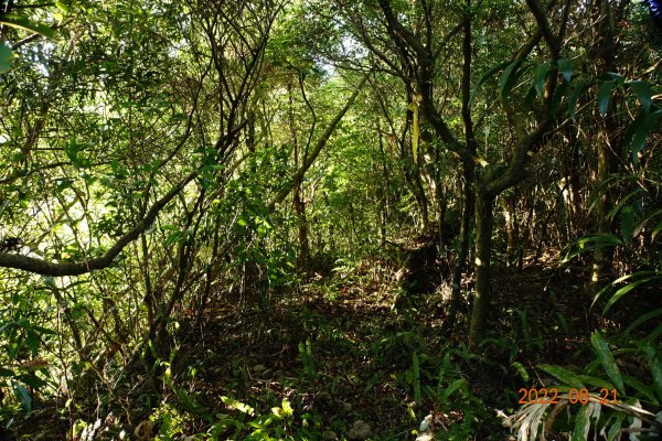 宜蘭 頭城 窖寮山1817622