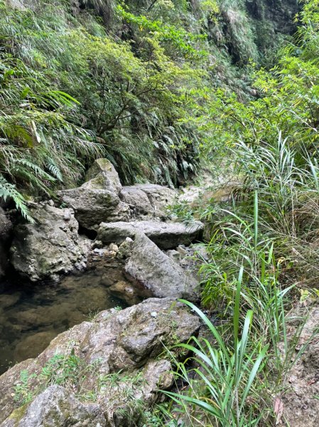 台東｜成功 麻荖漏步道2160433