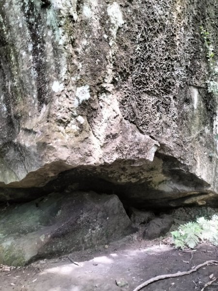 五指山登山步道2269250