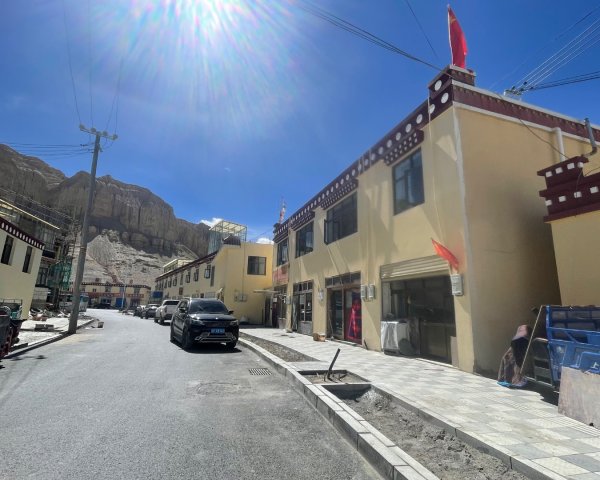 川藏318熱門的卡點-尼瑪-當惹擁措-大地之樹-雅丹地貌聖象天門2905855