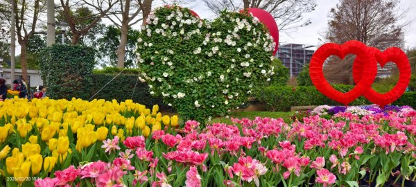 #士林官邸 #鬱金香 #中正紀念堂 #大漁櫻 2/283007866