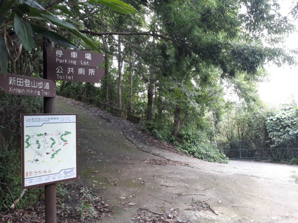 台中新田步道接大胡山O型20190601595474