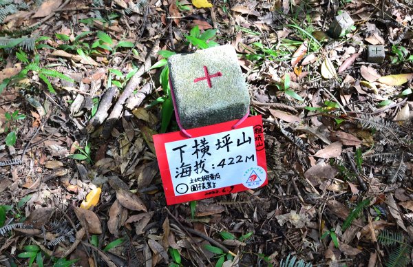 下橫坪西南峰 -下橫坪山-下橫坪東峰-天王廟-佛光寺-中央坑山-串空湖山-南窟山-法濟寺1746369