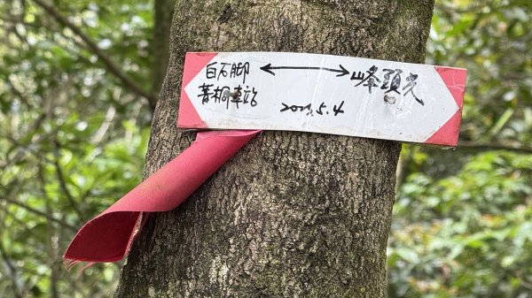 潮濕原始的峰頭尖|平溪三尖|白石腳|峯花雪月2782537