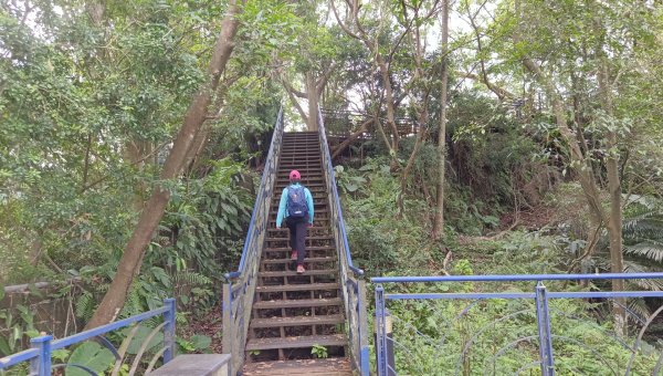 (姨婆趴趴走)第五十二集:新北新店攀登和美山及灣潭山2761084