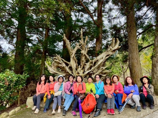 清泉 雪霸農場 野馬瞰山2925882