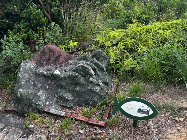 內湖鯉魚山之旅2811742