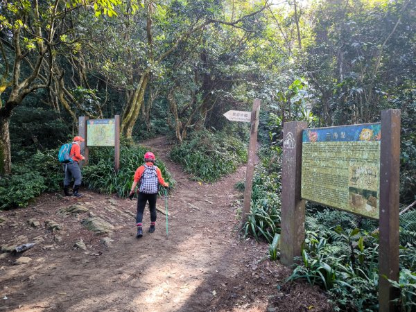 2026-01-25 龍潭小粗坑古道上石門山2994134