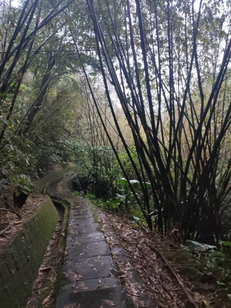 微笑山線：【五分山系】平溪小黃山段2955008