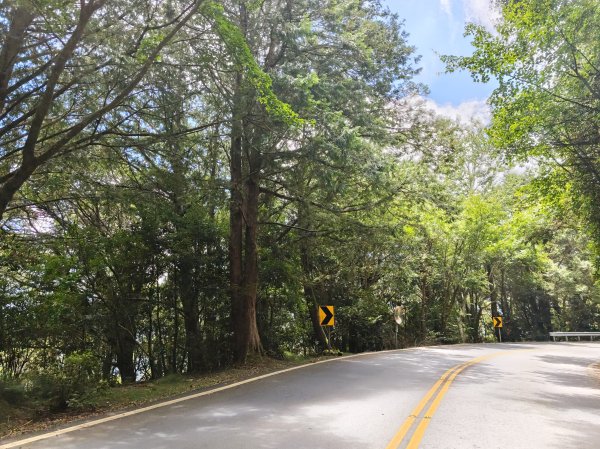 [山海圳_聖山之路_第一段] 2026_0802 自忠⮕鹿林山登山口3109094