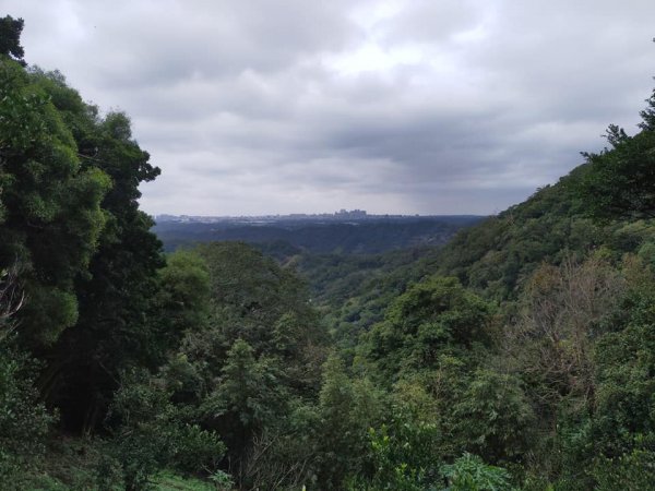 觀音山占山1579571