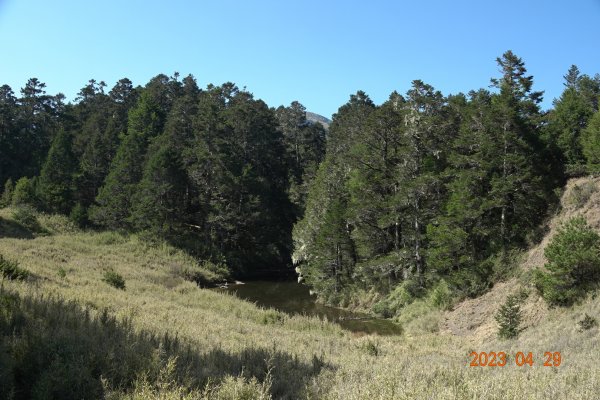 南投 仁愛 武法奈尾山2133784