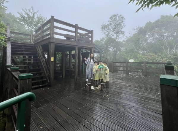 花蓮鯉魚山(賞鳥步道、野趣步道)1717559