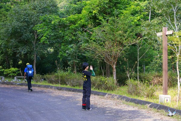 樟之細路（二寮坑至獅潭）725914