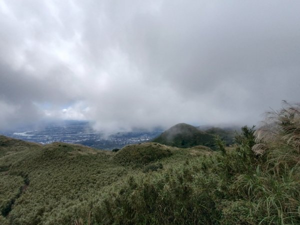 走遍陽明山2301760