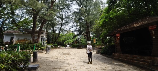 2026/06/07_竹南海濱森林步道3072533