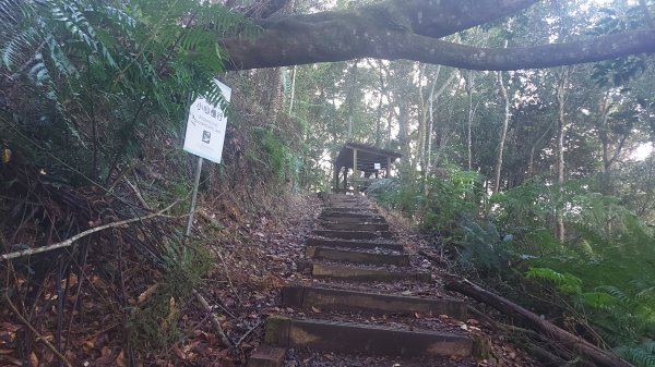 水社大山 水社主峰1597929